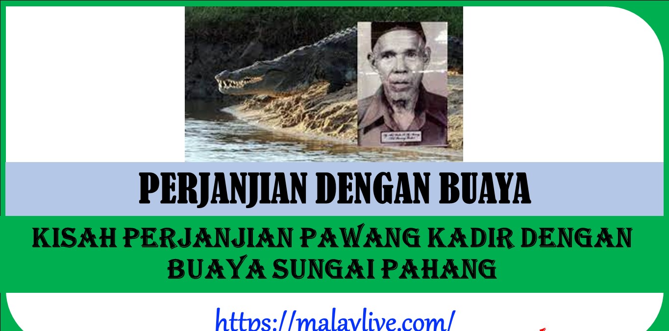 Kisah Perjanjian Pawang Kadir Dengan Buaya Sungai Pahang